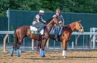 Pennsylvania Derby analysis: 10 vie for first Grade 1 win