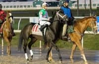 Report: Disco Time sits out Ky. Derby prep after 'little setback'