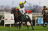 Gran Oriente earns Breeders' Cup Mile bid in upset fashion