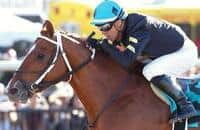 Hence rolls from last to win the Sunland Derby