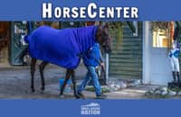 HorseCenter: Breeders' Cup 2024 top picks and long shots