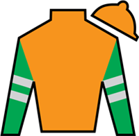 Horse Silk Senza Parole