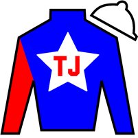 Todd James Jordan Silks