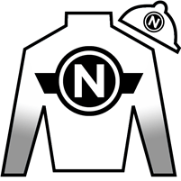 Horse Silk Almendares