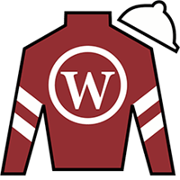 Horse Silk Tiztastic