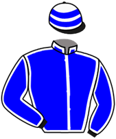 Horse Silk Lake Forest