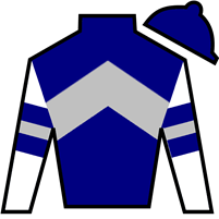 Horse Silk Rattle N Roll