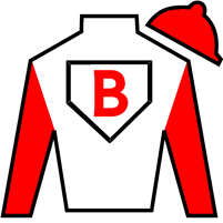 Horse Silk Flying Mohawk