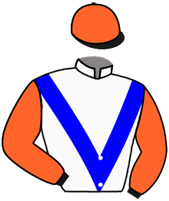 Horse Silk Noble Champion