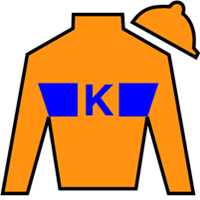 Horse Silk Kale's Angel