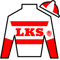 Horse Silk Bentornato