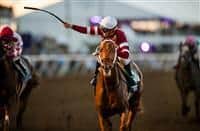 Gun Runner Photo Gallery