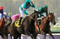 Zenyatta Photo Gallery