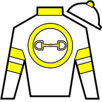 Horse Silk It's Our Time