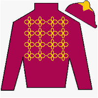 Horse Silk New Century