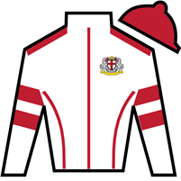 Horse Silk Pay Billy