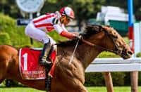 Practical Joke Photo Gallery