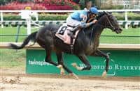 Not This Time Photo Gallery