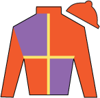 Horse Silk Ted Noffey