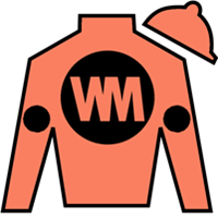 Silk for With the Angels