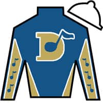 Horse Silk Render Judgment