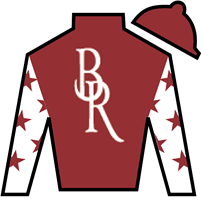 Silk for Thorpedo Anna