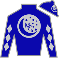 Horse Silk Fort Washington