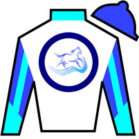 Horse Silk Book'em Danno