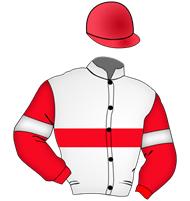 Horse Silk Danon Decile