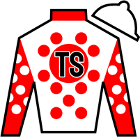 Horse Silk Chunk of Gold