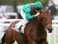 Zarak (FR) Photo Gallery