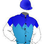 Horse Silk Admire Daytona