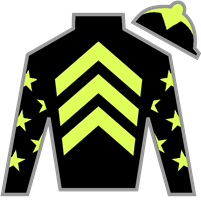 Horse Silk Seismic Beauty