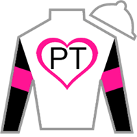 Horse Silk Jody's Pride