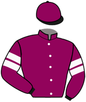 Horse Silk Forever Young