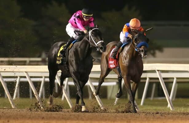 Churchill Downs: Most Wanted leads 8 milers in Ack Ack