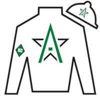 Silk for Patch Adams