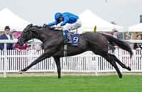 Rebel’s Romance returns to U.S. for Joe Hirsch Turf Classic