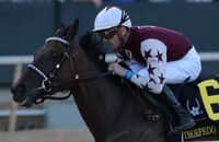 Works + videos: Thorpedo Anna, Journalism lead 75 on tab