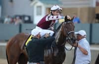 Saturday works: Thorpedo Anna is 1 of 58 graded winners on tab