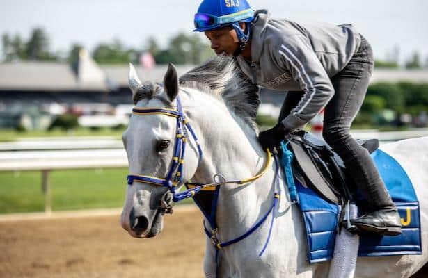 Joseph opts for Breeders' Cup Dirt Mile for White Abarrio