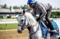 Joseph opts for Breeders' Cup Dirt Mile for White Abarrio