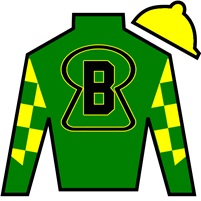 Silk for Won For Lou