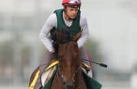 Trainer Royer Dupre Hopes for Another Successful Trip to Meydan
